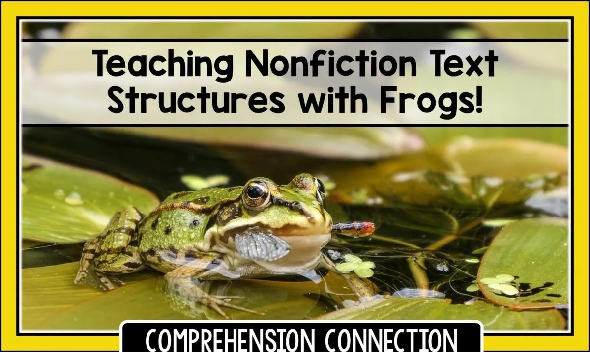 frogs-4222707