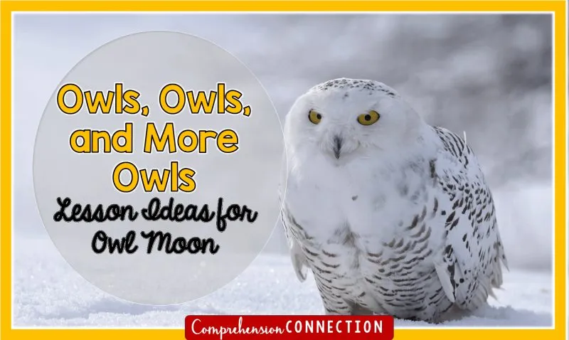 owl2bmoon-9102691