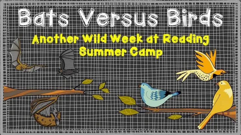 batsversusbirds-8231859