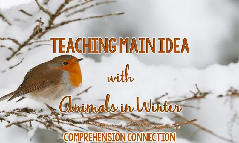 animals2bin2bwinter2bimage-4534538