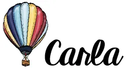 10+ Engaging Lesson Ideas using the book, Owl Moon