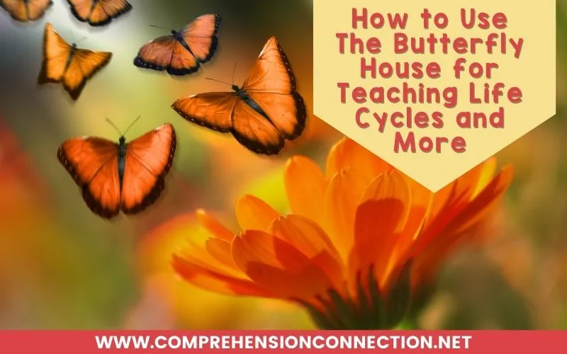 The Butterfly House by Eve Bunting is one of my favorite books for spring. The illustrations are just gorgeous. If you are growing butterflies, your students will be able to relate those experiences to this book as it explains the process. This post offers teaching suggestions using this book.