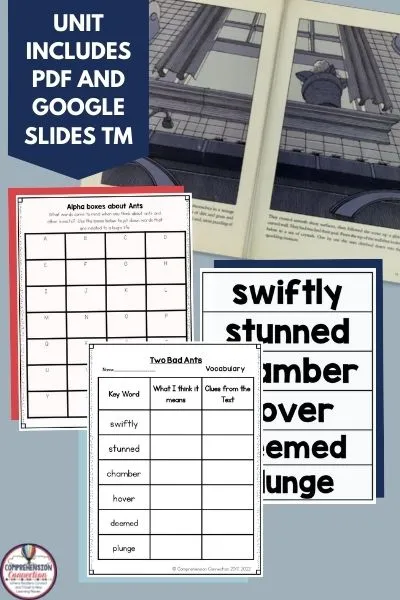Two Bad Ants has to be one of the best mentor texts for upper elementary students. If you're a classroom teacher, having grab and go lessons that will not fail are a MUST! In this post, I'll give you a sneak peek at a resource bundle I've put together to go with Two Bad Ants. Your students will enjoy it. I promise!