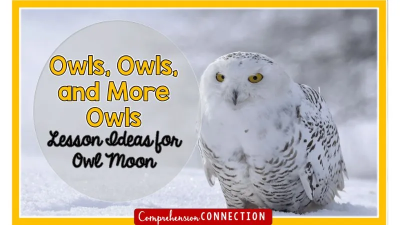 Owl Moon Teaching Unit and Mentor text lessons