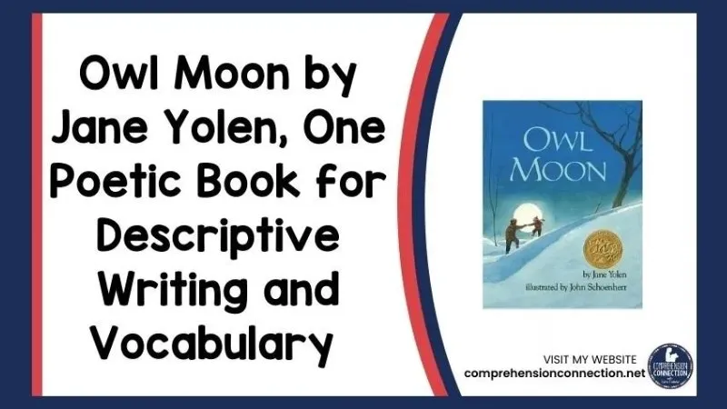 Owl Moon by Jane Yolen is a wonderful mentor text for descriptive writing and vocabulary. In this post, I share lots of lesson ideas to go with the book to save teachers and homeschooling parents lots of time. Check it out for your next writing lesson.